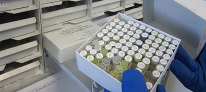 The Expanding Role of Biobanks in Improving Patient Care